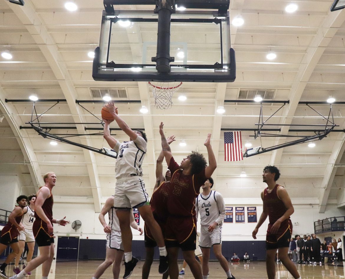 Citrus’ men’s basketball team move on to the third round of the 3C2A playoffs